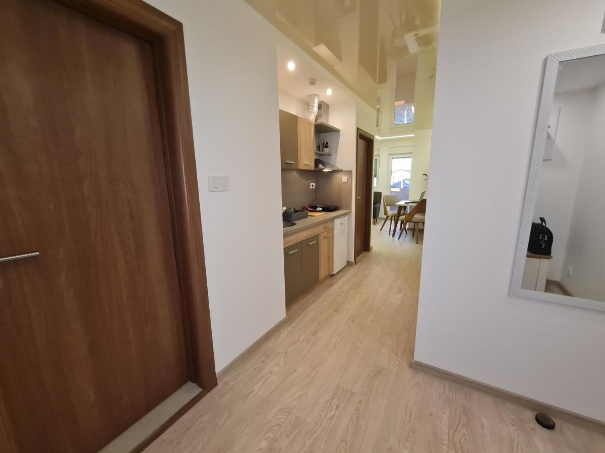 Airport Molko Apartments Surčin エクステリア 写真
